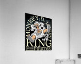 One Piece 57 Acrylic Print