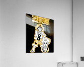 One Piece 6 Acrylic Print