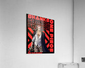 One Piece 19 Acrylic Print