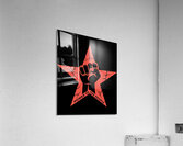 Rage Against the Machine 30 Acrylic Print