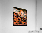 Scorpions 11 Acrylic Print