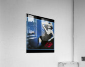 Scorpions 14 Acrylic Print