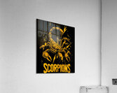 Scorpions 18 Acrylic Print
