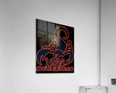 Scorpions 21 Acrylic Print