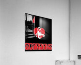 Scorpions 30 Acrylic Print