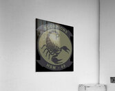Scorpions 34 Acrylic Print