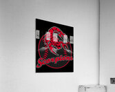 Scorpions 36 Acrylic Print