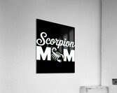 Scorpions 37 Acrylic Print
