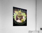 Shrek 7 Acrylic Print