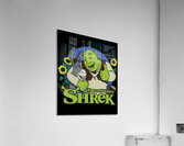Shrek 21 Acrylic Print