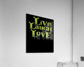 Shrek 22 Acrylic Print