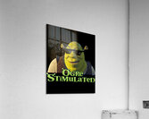 Shrek 28 Acrylic Print