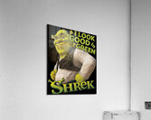 Shrek 29 Acrylic Print