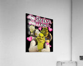 Shrek 33 Acrylic Print
