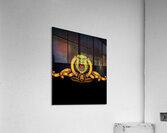 Shrek 34 Acrylic Print