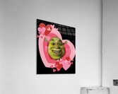 Shrek 35 Acrylic Print