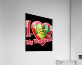 Shrek 39 Acrylic Print