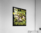 Shrek 44 Acrylic Print