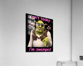 Shrek 45 Acrylic Print