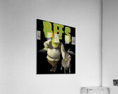 Shrek 52 Acrylic Print