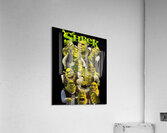 Shrek 64 Acrylic Print