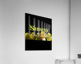 Shrek 2 Acrylic Print