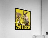 Shrek 10 Acrylic Print