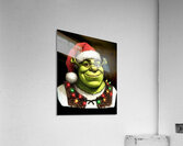 Shrek 11 Acrylic Print