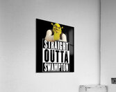 Shrek 15 Acrylic Print