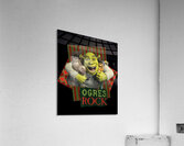 Shrek 20 Acrylic Print