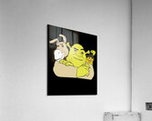 Shrek 32 Acrylic Print