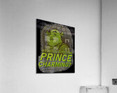 Shrek 36 Acrylic Print