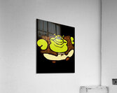 Shrek 39 Acrylic Print