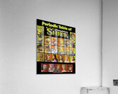 Shrek 45 Acrylic Print