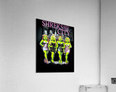 Shrek 46 Acrylic Print