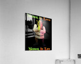 Shrek 47 Acrylic Print