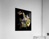 Shrek 49 Acrylic Print