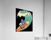 Sonic 15 Acrylic Print