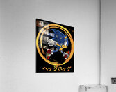 Sonic 17 Acrylic Print