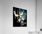 Sonic 19 Acrylic Print