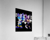 Sonic 24 Acrylic Print