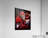 Sonic 35 Acrylic Print