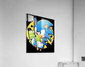 Sonic 1 Acrylic Print