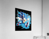 Sonic 5 Acrylic Print