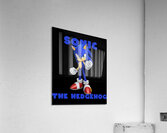 Sonic 7 Acrylic Print