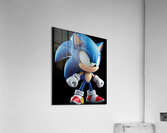 Sonic 10 Acrylic Print