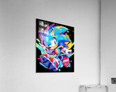 Sonic 13 Acrylic Print