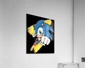 Sonic 34 Acrylic Print