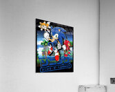 Sonic 36 Acrylic Print