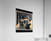 Steppenwolf 3 Acrylic Print